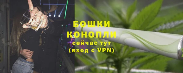 бошки Вяземский